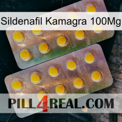 Sildenafil Kamagra 100Mg new10